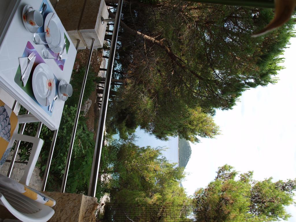 Vila Marija-Roza Drage Extérieur photo